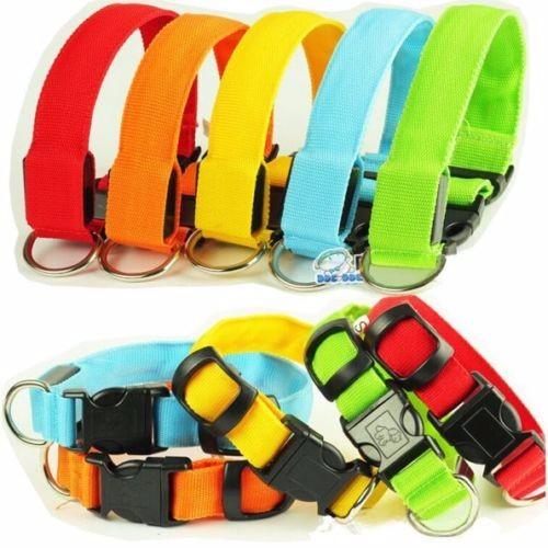 Led Night Luminous Collar for Dogs