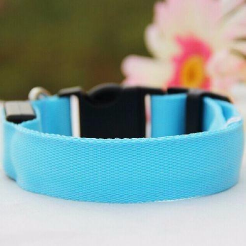Led Night Luminous Collar for Dogs