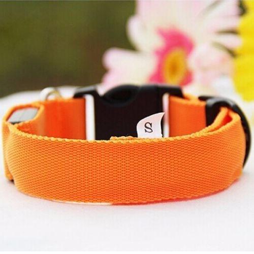 Led Night Luminous Collar for Dogs