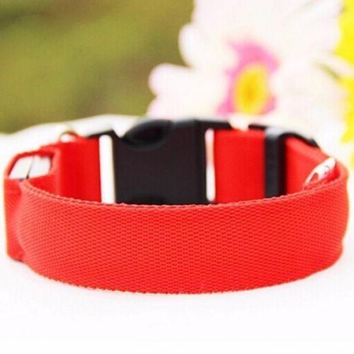 Led Night Luminous Collar for Dogs