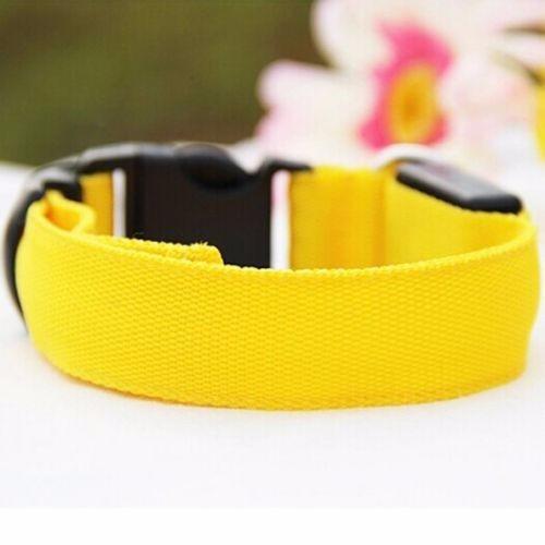 Led Night Luminous Collar for Dogs