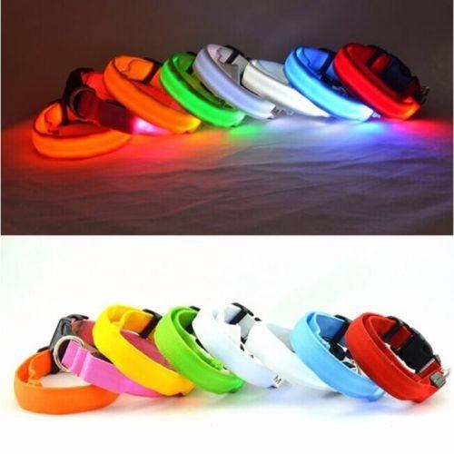 Led Night Luminous Collar for Dogs