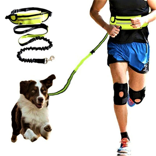 Hands Free Bungee Dog Leash